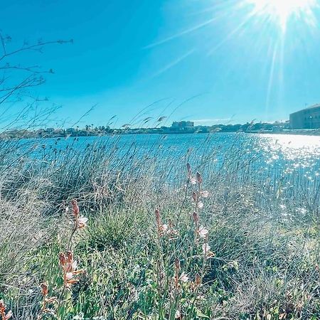 La Casita ,Appartement Face A L'Etang Le Barcarès Dış mekan fotoğraf